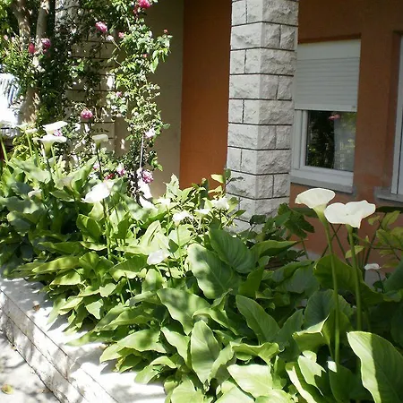 Apartment Apartmani Mare